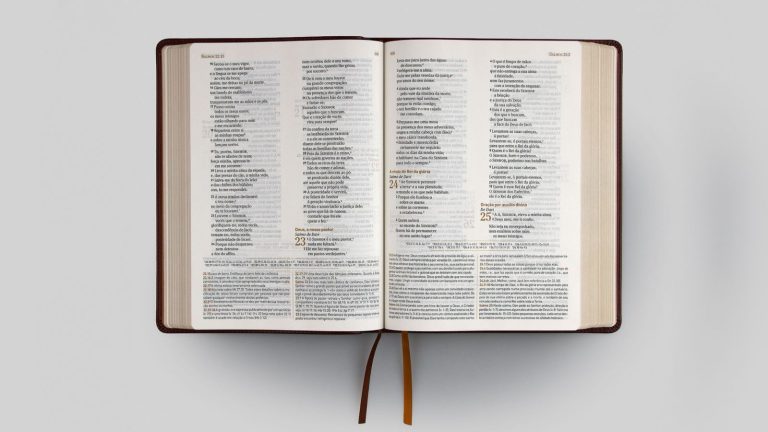 ‘Clássico de Charles C. Ryrie’: Nova edição da Bíblia de Estudo ganha versão NAA ‘classico-de-charles-c.-ryrie’:-nova-edicao-da-biblia-de-estudo-ganha-versao-naa